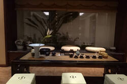 新中式:年轻人也爱我这口